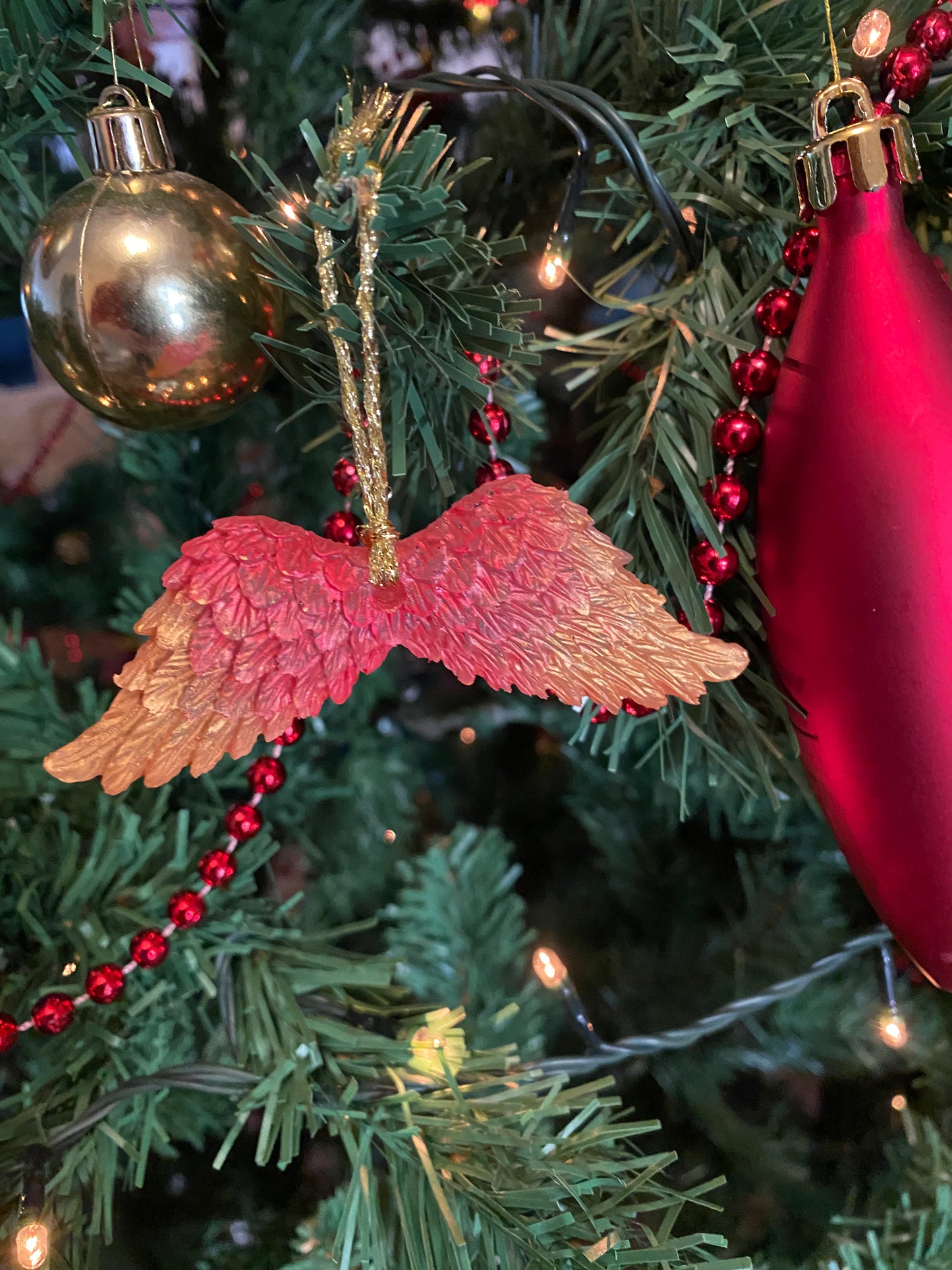 Hanging Wings