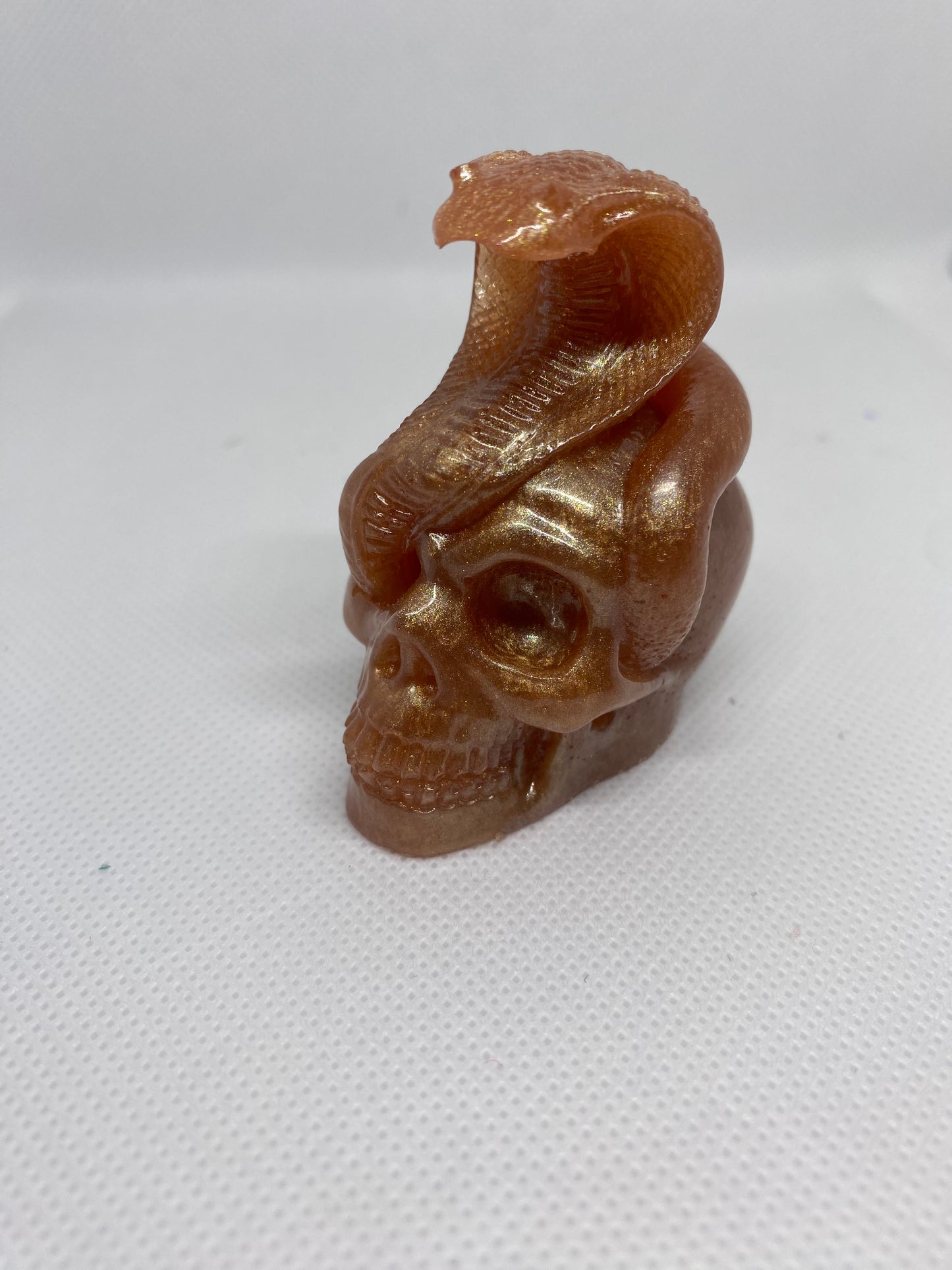 Skull with snake (small)