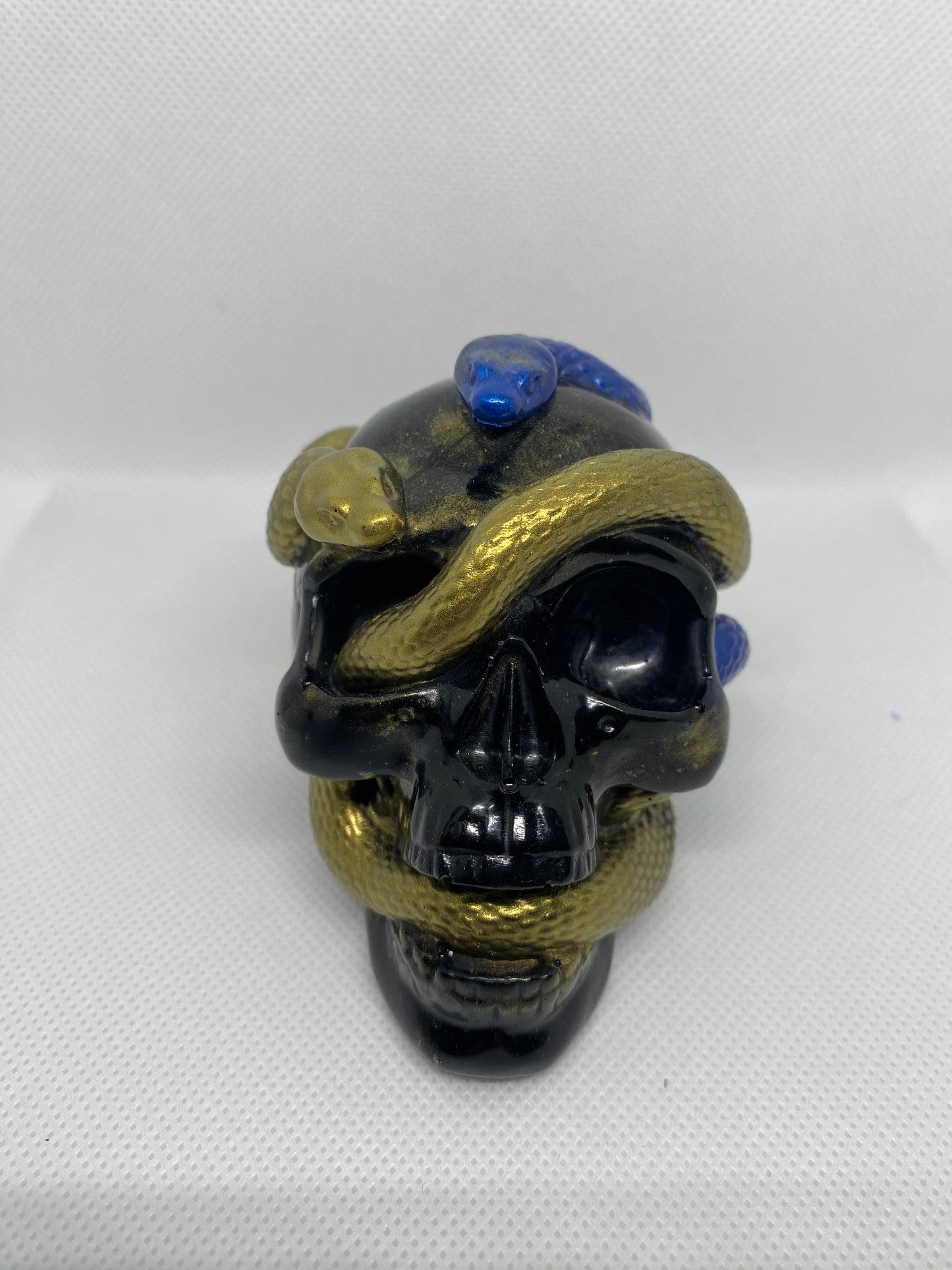 Skull with snakes