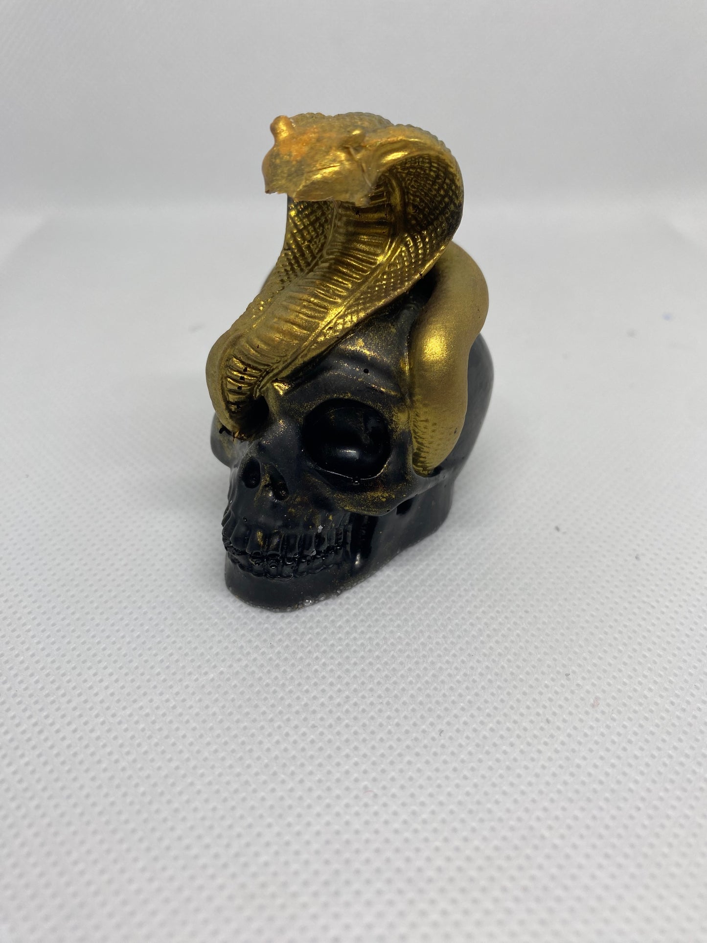 Skull with snake (small)